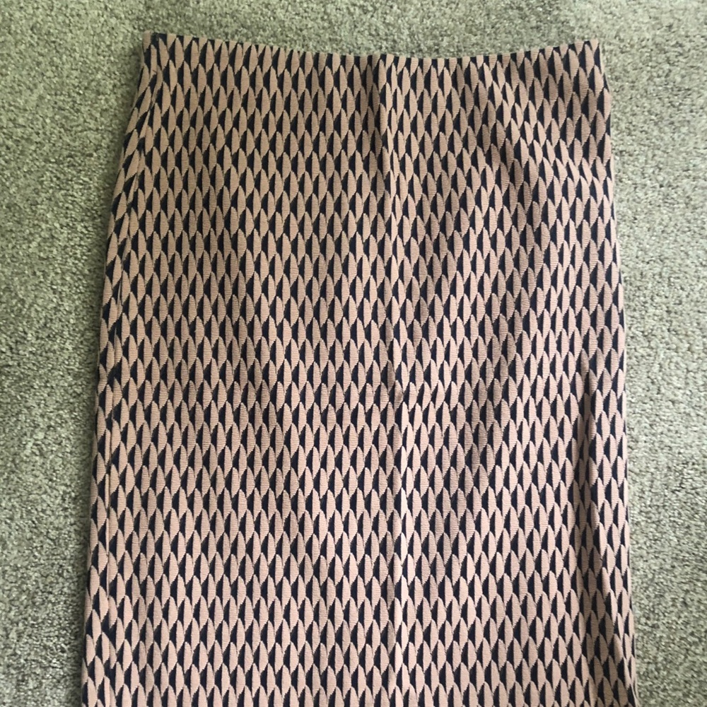 Blush Ann Taylor Pencil Skirt